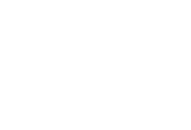 Selfit