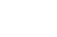 Toro